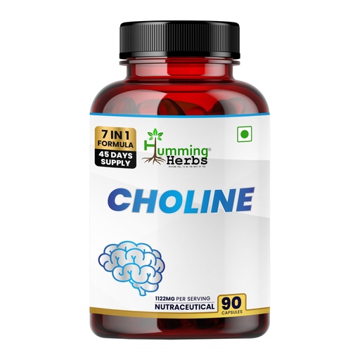[BRSREFALAUBWE2A6] Humming Herbs Choline 1122mg with Bacopa, Ginkgo, Phosphatidylserine, L-Theanine & B6 | 7-in-1 Cognitive Support Formula | 90 Veg Capsules | 45 Days Supply | Brain Health Supplement
