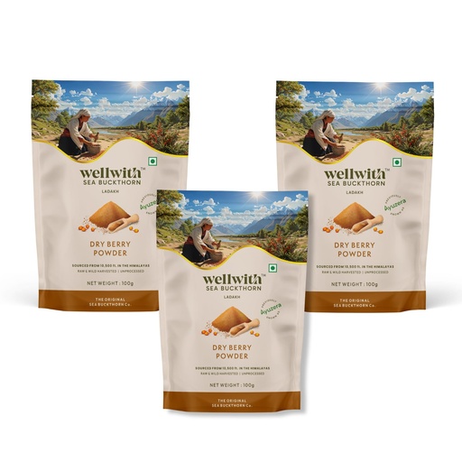 [BRSREFD5C55GGDTG] Wellwith Himalayan Sea Buckthorn Dry Berry Skin Powder(100gm.Pack of 3) | Rich in Omega |Vitamin C, Vitamin E | Dry Sea Buckthorn Berry Powder