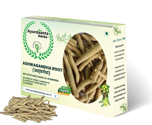 [BRSRAH3RAUDQE2AV] Ayurdanta HerbsAswaganha /Ashwagandha Raw (GRADE-1) | Ashwagandha Indian Ginseng Plant Root Raw | Withania somnifera Raw |अश्वगंधा ( जड़ी बूटी खड़ी ) 100% Pure Natural Support for Stress100 Gram