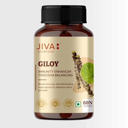 [BRSW2YICC4NAYAIV] Jiva Giloy - 60 * 1 Capsule for Digestion | 100% Pure & Natural | Ageing and Immunity Boost | Herbal Supplements | Rich In Antioxidants