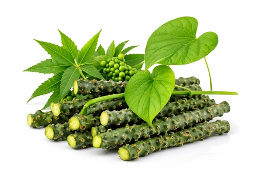[BRSRAFAECN7WOA36] Neem Giloy Stick/Stem/Giloi Bel | A1 Quality Guruch/Gulvel/Guduchi stems/Gudhi Stick for Natural Immunity Booster | Improve Digestion | Fresh & Handpicked | 6-inch, 15 pieces