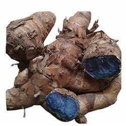 [BRSROHQ3C4FQGC3L] GABHISMEEN Kali Haldi Or Black Turmeric Or Narkachur Or Narkachoor Raw And Natural (50 Gram)