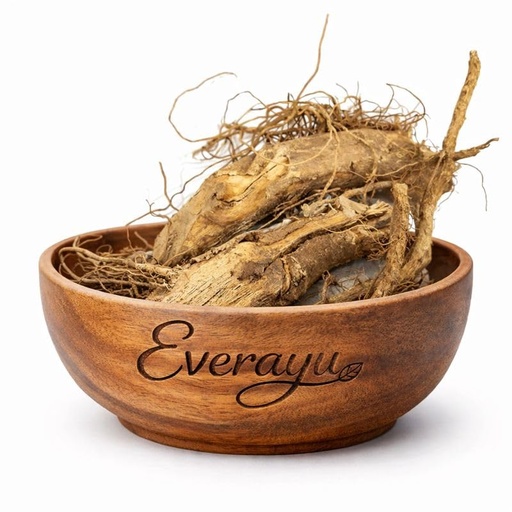[BRSRGAIYDENREADO] Kateri Jad Root 100gm– Solanum xanthocarpum – Bhatkatiya Root – Kantakari – Katehri – Kateli – Ringni Mool | Natural Dried Kateri (Whole Raw Herb) 100gm