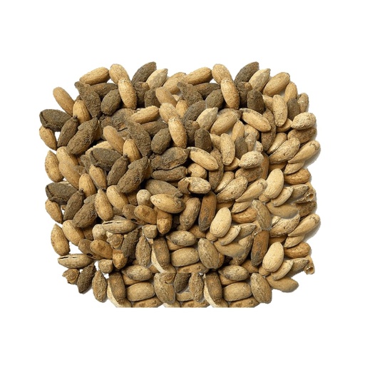 [BRSWYZYRAQNR4HIY] Neem Seed/Neem Ke Beej/Azadirachta (1 Kg)