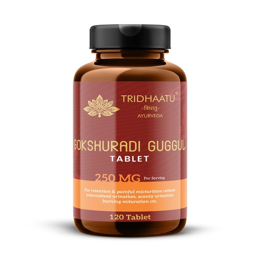 [BRSRGAI3CMMQM2DG] Gokshuradi Guggulu Tablet (250mg) - 120 Tablets