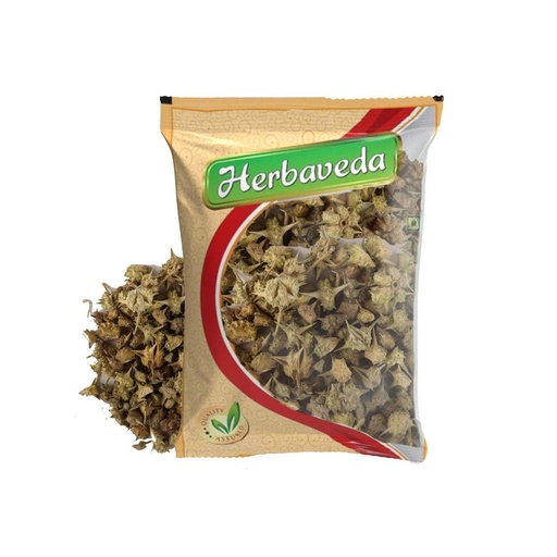 [BRSW2YYYOF7B6AL7] Herbaveda Chota Gokhru Sabut (200g) - Pure Tribulus Terrestris Seeds for Men's Vitality, Urinary Wellness, Daily Stamina & Natural Athletic Support (Gokshura)