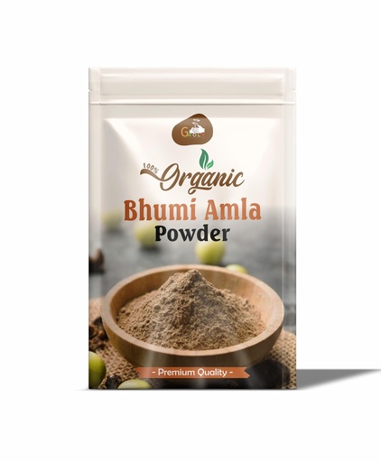 [BRSRAHY2PN5RU3D3] Bhumi Amla Powder/Churn 250 gm | Organic Ingredient Extract For Healthy Liver Functioning And Digestive Strength | Enriched With Essential Nutrients | Amla Powder for Hair, Drinking & Eating