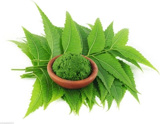 [BRSROCYFPMFAKDI6] Fresh Neem Leaves – Herbal, Medicinal Plant Leaf (Neem Ka Patta)