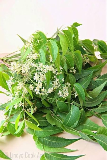 [BRSRGAL3A55QEDIY] Fresh Neem Flower, 100 Gram