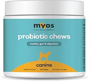 [BRSRAFL4AEOQ43DL] MYOS Probiotic Chew for Dogs - Daily Digestive Support, Promotes Complete Gut Health, Aids Digestion, Enhances Nutrient Absorption, Supports Healthy Stool - All-in-One Chewable Supplement