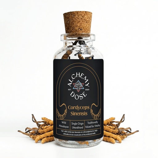 [BRSRAAY6DIFAGG3J] Alchemy Dose Keeda Jadi Original Yarsagumba Cordyceps Classic 1 g
