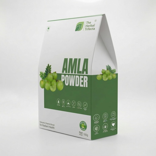 [BRSRGBIRCMIAGAA4] Amla Powder for Hair Growth 100g — Pure Amla Churna for Hair & Skin | Controls Hair Fall, Premature Greying | Vitamin C Rich Ayurvedic Powder for Face Pack, Skin Brightening | Chemical-Free, No Additive