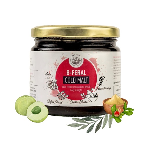 [BRSRAALYPMJWC3TD] AMRUTAM Ayurvedic Health Supplement for Men with Shilajit, Safed Musli, Ashwagandha, Trikatu, 30+ Herbs | B Feral Gold Avaleh