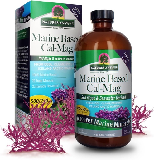 [BRSWKFLRCUPGMALO] Nature's Answer Marine Based Calcium Magnesium, Vanilla Cream, 16-Ounce | Natural Immune Support | Maintains Healthy Bones | Promote Heart Health | Muscular Function Support