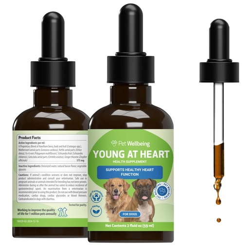 [BRSWKEILOQHBGEDI] Pet Wellbeing Young at Heart for Dogs - Senior Heart Health Support, Cardiovascular Wellness with Hawthorn & Motherwort - NASC Certified & Vet-Formulated - 2 oz Liquid Formula