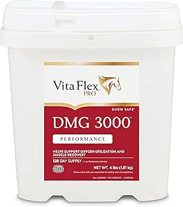 [BRSWIYQBBMNBC232] Vita Flex Pro DMG 3000 Horse DMG Concentrate, 4 Pounds, 128-Day Supply