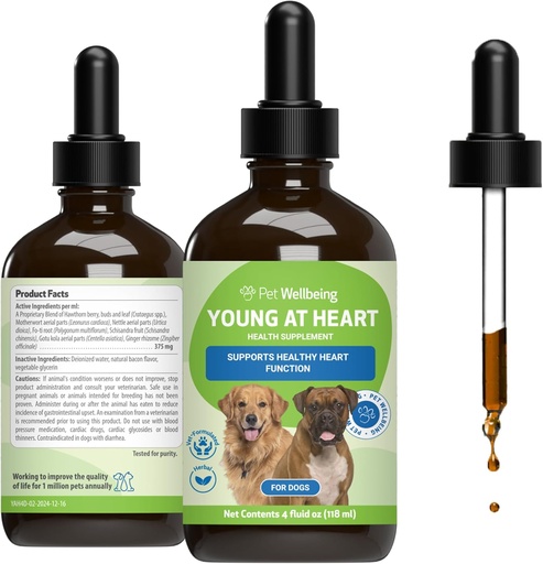 [BRSWKHY5AAOR6F3B] Bem-estar do animal de estimação Jovem no coração para cães - Saúde do Coração, Sistema Circulatório e Cardiovascular, Hawthorn, Motherwort, Schisandra - Veterinária-Formulada Suplemento de ervas 4 fl oz (118 ml)