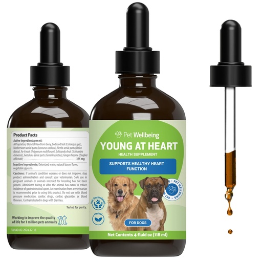 [BRSWKHY5AAOR6F3B] Pet Wellbeing Young at Heart for Dogs - Senior Heart Health Support, Cardiovascular Wellness with Hawthorn & Motherwort - NASC Certified & Vet-Formulated - 4 oz Liquid Formula