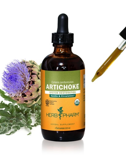 [BRSWIY37AEFQ2GD2] Herb Pharm Artichoke Liquid Herbal Extract: Organic Artichoke Leaf for Cardiovascular, Circulatory, & Digestive Support, Liver Support | Gluten-Free, Vegan, Non-GMO, Up to ~3 Month Supply, 4 oz*