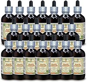[BRSWGHYRAEFB6D3J] Black Currant (Ribes nigrum) Tincture, Dried Leaves Liquid Extract (Brand Name: HerbalTerra, Proudly Made in USA) 20x4 fl.oz (20x120 ml)