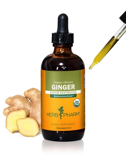 [BRSWIY37AEGGY3LK] Herb Pharm Ginger Liquid Extract: Organic Supplement for Digestion, Occasional Nausea Support, Fast-Absorbing Ginger Liquid, Sugar-Free Organic Digestive Support Tincture, Up to ~12 Week Supply, 4 oz*