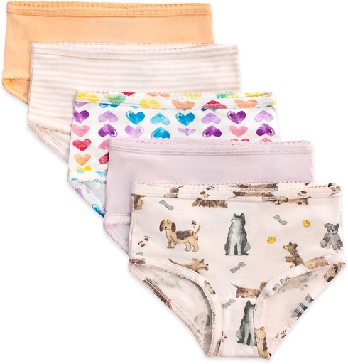 [BRSRA232PMNAGGTF] Bees Bees Baby Toddler Girls' Underwear Set de 5 - Solids, Stripes,Prints, Tag-Free with Sizes for 2T to 8 Years Old