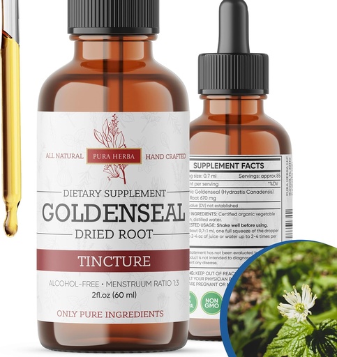 [BRSROBABOIDQOHY2] Goldenseal Tincture | Premium Alcohol-Free Herbal Extract from Goldenseal Root | Liquid Botanical Supplement | Traditional Herbal Formula | Made in USA - 2 oz (60 ml)