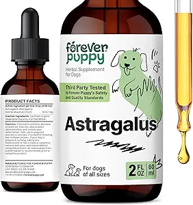 [BRSRAYAEDN7A2E35] Forever Puppy Astragalus Root Drops for Dogs - Astragalus Membranaceus Tincture for Dogs' Immune Defense - Herbal Pet Liquid Supplements for Immunity Support & Joyful Pet Care - 2 oz