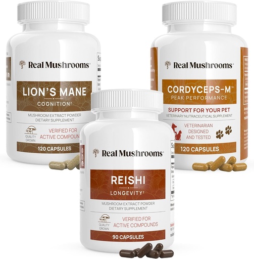 [BRSWYZQ7BANAIHLV] Real Mushrooms Brain, Vitality & Immune Support Bundle - Lion’s Mane Cognition Capsules (120 Capsules) + Reishi 415 Longevity Capsules (90 Capsules) & Cordyceps-M Peak Performance (120 Capsules)