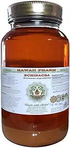 [BRSWKEYHOYOBMA3M] Echinacea Alcohol-Free Liquid Extract, Echinacea (Echinacea Angustifolia) Dried Root Glycerite Hawaii Pharm Natural Herbal Supplement 32 oz Unfiltered