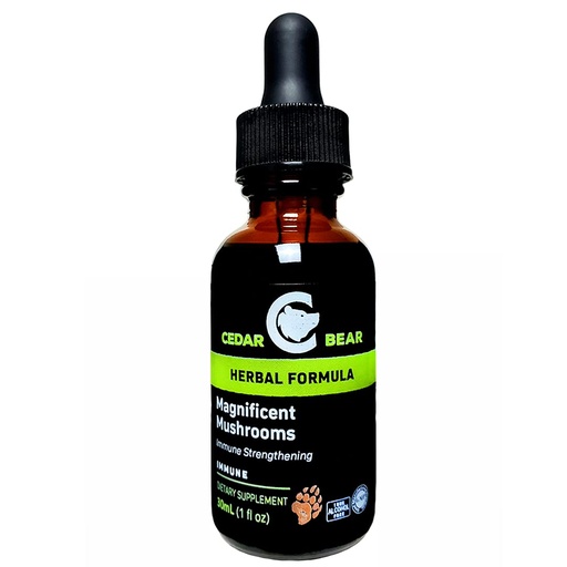 [BRSWGZT6OUIGYAA3] Cedar Bear Magnificent Mushrooms a Liquid Herbal Supplement That Builds The Immune System, Protects, Strengthens and Balances Overall Health 1 Fl Oz