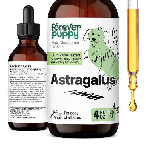 [BRSRAYAFDFYQIEL7] Astragalus Root Drops for Dogs - Immune Support - 4 fl oz | Alcohol-free, no added sugar, no artificial additives, flavors or colors; pure formula