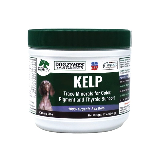 [BRSWIFL5CV4R6A3U] Dogzymes Organic Norwegian Kelp for Pets, a Valuable Nutrition Source Rich in Iodine to Support Gland Function, Especially The Thyroid (12 Ounce)