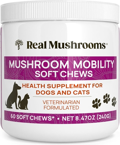 [BRSRAAYYOQMQE3DA] Real Mushrooms Mobility Chews for Dogs & Cats – Green Lipped Mussel & ErgoGold Mushroom Blend – Dogs & Cat Vitamins Treats for Active Routines – Joint, Hip & Flexibility Support – 240 ct Supplement
