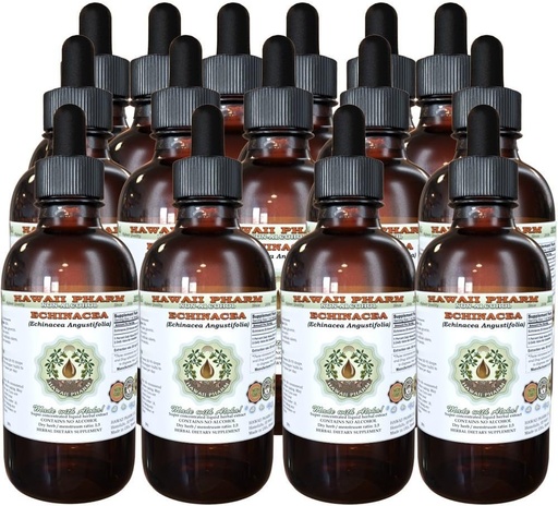 [BRSWKEYHOYOGGYI3] Echinacea Alkol-Free Liquid Extract, Echinacea (Echinacea Angustolia) kuru Kök Glycerite Hawaii Pharm Natural Herbal Supplement 15x4 oz