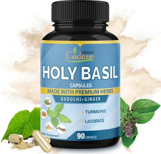 [BRSRAAIFAUPB62A6] Ecológico Cadane Suplementos de la Basil, 5in1 con Guduchi, Ginger, Turmeric Curcumin, Licorice - Apoyo Immune - 90 cápsulas para 3 meses