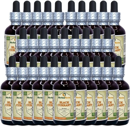 [BRSWGHYRAB6A4336] Black Currant (Ribes nigrum) Tincture, Dried Leaves Liquid Extract (Brand Name: HerbalTerra, Proudly Made in USA) 30x2 fl.oz (30x60 ml)