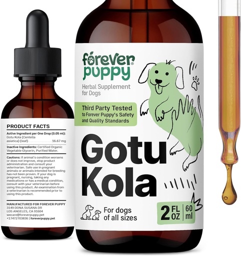 [BRSRAYAFDF7BY3L7] Forever Puppy Gotu Kola drops for Dogs - Centella Asiatica " Gotu Kola Extract for Brain Health Support - Liquid Brain supplement for Dogs of All Breeds " Sizes - 2 oz