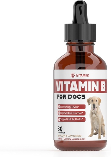[BRSROAAYCMBB4FD4] Vitamin B for Dogs | Vitamin B Complex for Dogs | Vitamin B12 for Dogs | Dog Vitamins | B12 Vitamins for Dogs | Vitamin B Dog Supplements | B Complex for Dogs | B12 for Dogs | Do1 fl oz: Bacon Flavor