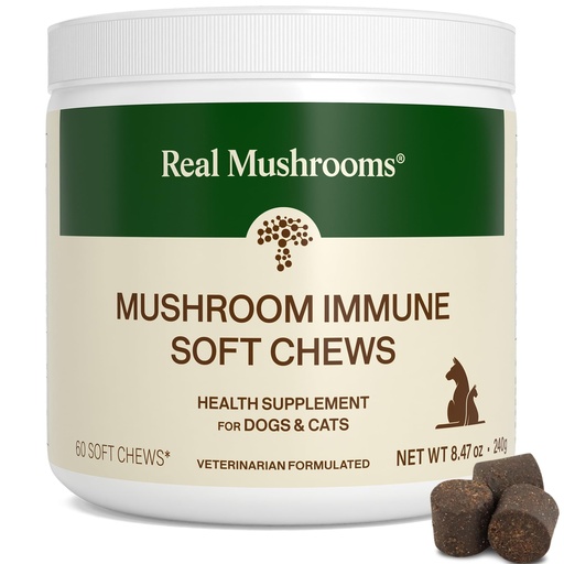 [BRSW2AATCV7GYGY2] Real Mushroom Immune Pet Chews – For Daily Digestive & Immune Health – Mushrooms for Dogs & Cats Functional Treat – Mushroom Supplement for Dogs & Cats – 1 to 4 Chews For All Breeds & Sizes (60 Count)
