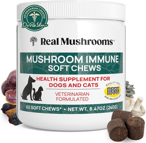 [BRSW2AATCV7GYGY2] Real Mushroom Immune Pet Chews - 매일 소화 및 면역 건강 - 개 및 고양이 기능 치료를위한 버섯 - 개 및 고양이를위한 버섯 보충 - 모든 품종 및 크기 (60 개)