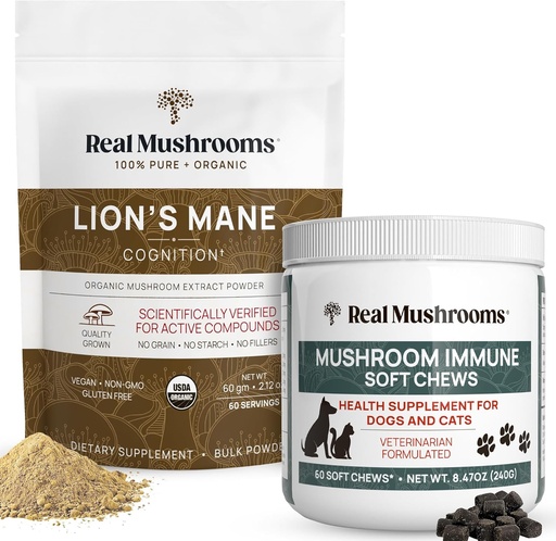 [BRSRMYDYBZYWECQV] Real Huby Lions Mane Powder for Humans (60g) & Mushrom Immune Pet Chews (60ct) - Bundle for Cognition & Imunity - Ashwagandha, Astragalus & More - Vegan, Non-GMO, Gluten-free, Grain-free