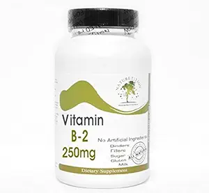 [BRSWK2YLA4FWOFTE] B-2 Vitamin 250mg ~ 100 Capsules - No Additives ~ Naturetition Supplements