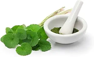 [BRSROBAPCICAAAI2] (Pack of 2) Organic Centella Asiatica Powder (50g)