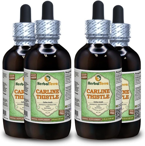 [BRSWGHY6DIDROADX] Carline Thistle (Carlina acaulis) Glycerit, Sušený kořen Alcohol- Free Liquid Extract (Značka: HerbalTerra, Proudly Made in USA) 4x4 fl.oz (4x120 ml)