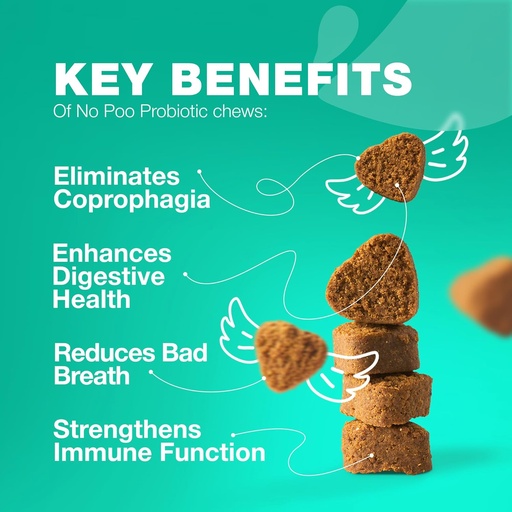 [BRSRAHYZAAMRUDLA] No Poo Chewables for Dogs - Enzymes, Dog Probiotics for Digestive Health - Canine Digestive, Gut & Immune Health Supplement