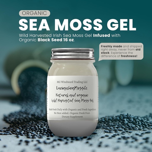 [BRSRAAYFCEHBUCQ6] Ashwagandha Mango Sea Moss Gel Organic Fresh Fruit Infused Wild Harvested Irish Sea Moss Gel | Immune and Digestive Support | Vitamin Mineral Antioxidant Supplements | (16 oz. Ashwagandha Mango)
