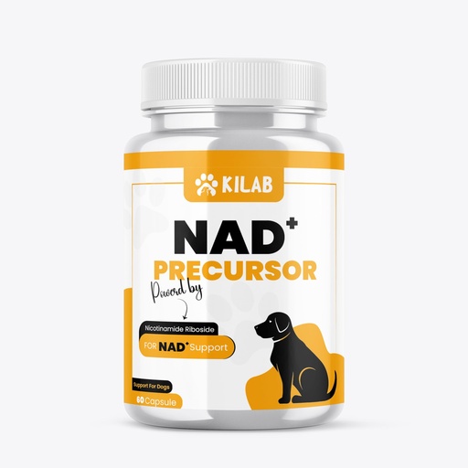[BRSRAZQ3PIJRACTJ] Kilab NAD+ Precursor Supplement for Dogs - 60 Capsules - Supports Healthy Aging & Skeletal Muscle Support & Recovery - Brain, Heart, & Cellular Energy Support - Nicotinamide Riboside Chloride