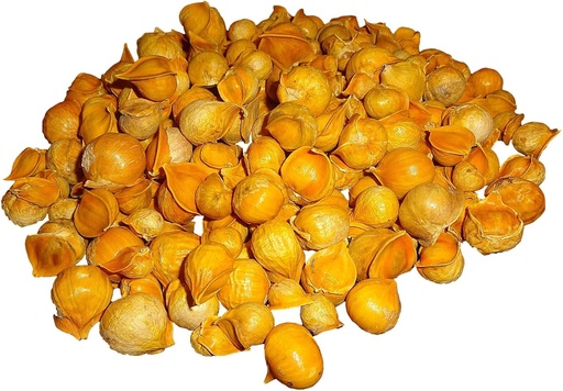 [BRSWK236OV7QOEA5] Japonų česnakai / / AJO Japones (100% natūralus!!) Skirtingi svoriai: (1 Lb, 5 Lbs, ir 10 Lbs) (5 Lbs)