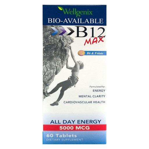 [BRSWYFIFOEPQ2FD4] Wellgenix Bio-Available Sublingual B12 B6 Folate Vitamin Formulated for High Absorption - Nutritional Multivitamin Supplement (60 ct) 1 Pack